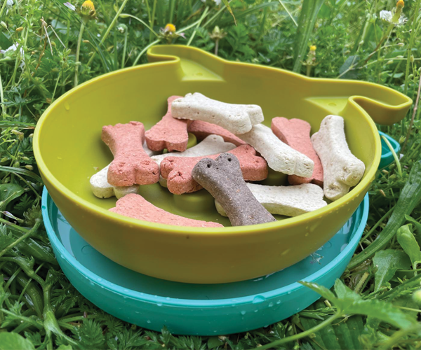 dog tris BOWL for PET FOR WATER, FOOD, ANT-RESISTANT