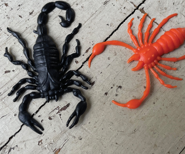600x500 x HOME CLICK IMAGE giu 25 halloween 2 scorpioni