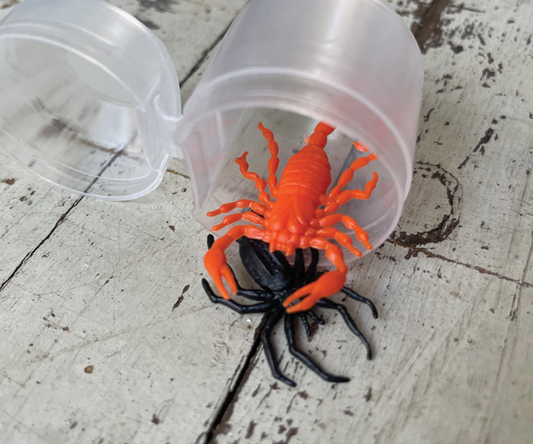 600x500 x HOME CLICK IMAGE giu 25 halloween E CAPSULA