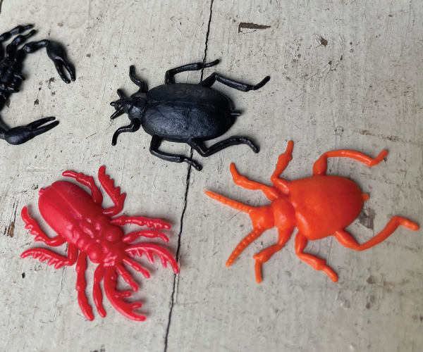 600x500 x HOME CLICK IMAGE giu 25 halloween blatte