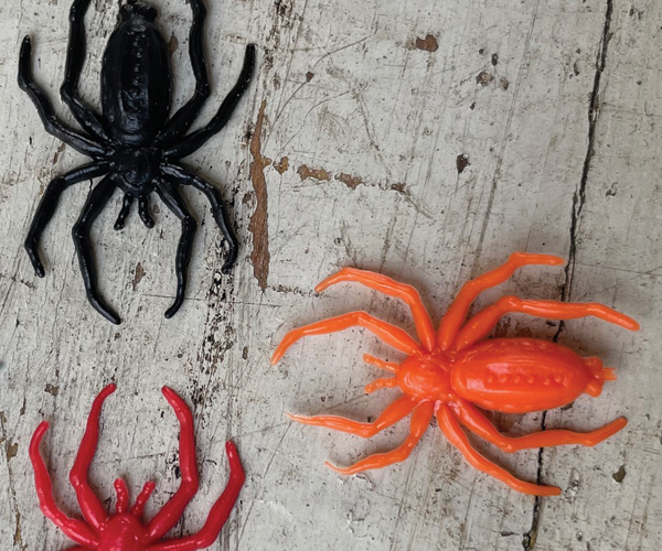 600x500 x HOME CLICK IMAGE giu 25 halloween ragni