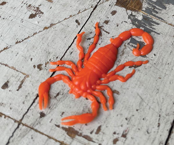 600x500 x HOME CLICK IMAGE giu 25 halloween scorpione arancio